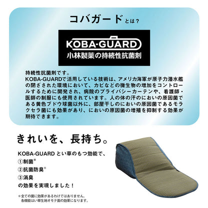 クッション くつろぎ ごろごろ い草 抗菌防臭 消臭 シンプル 小林製薬コバガード使用 約48×90cm 送料無料