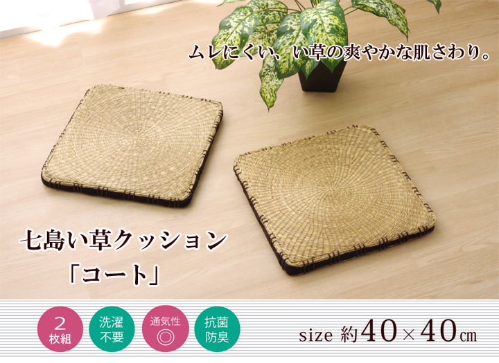クッション 七島クッション 七島藺草 シート 『コート マチ付』 約40×40cm 2枚組 送料無料