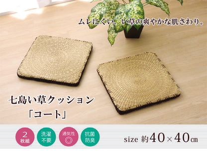 クッション 七島クッション 七島藺草 シート 『コート マチ付』 約40×40cm 2枚組 送料無料