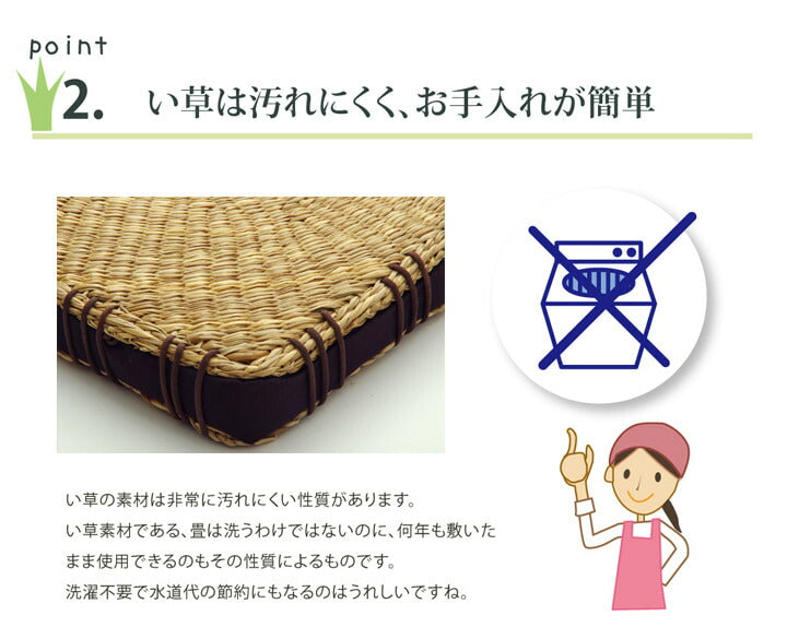 クッション 七島クッション 七島藺草 シート 『コート マチ付』 約40×40cm 2枚組 送料無料