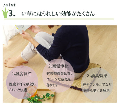 クッション 七島クッション 七島藺草 シート 『コート マチ付』 約40×40cm 2枚組 送料無料