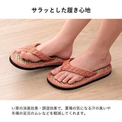 草履 子供 キッズ 七島い草 ベトナム製 さらさら シンプル 20cm(適応サイズ16～18cm) 送料無料