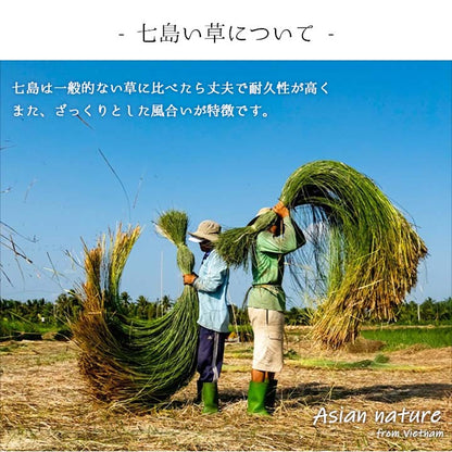 草履 紳士用 男性用 メンズ 箱付七島い草 ベトナム製 ギフト シンプル L(適応サイズ24.5～26cm) 送料無料 - 【公式】allecore(アレコレ) 家具インテリア・生活雑貨のオンライン通販