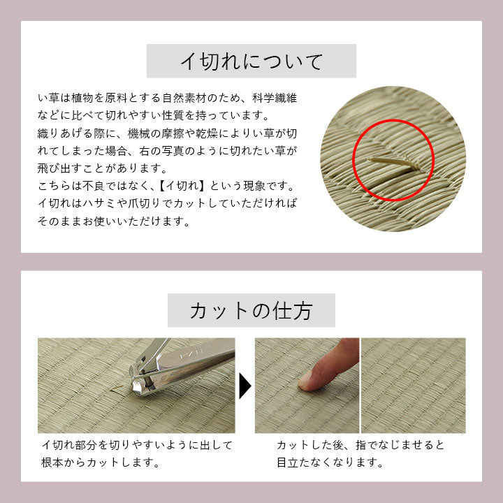 クッション 円座 楕円形 い草 チェック柄 調湿 空気清浄 お手入れ簡単 約45×35×4cm 送料無料