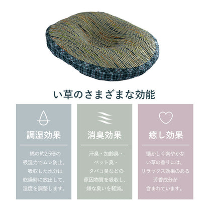 クッション 円座 楕円形 い草 チェック柄 調湿 空気清浄 お手入れ簡単 約45×35×4cm 送料無料