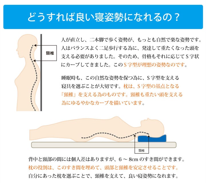 ピロー 枕 洗える 低反発 いびき解消 低反発 約64×35 送料無料 - 【公式】allecore(アレコレ) 家具インテリア・生活雑貨のオンライン通販