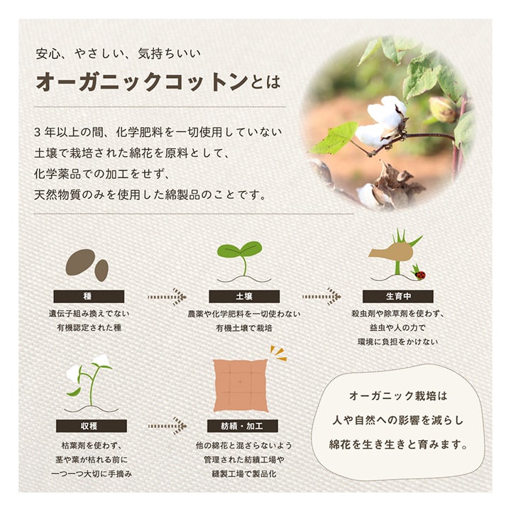 クッション シート 椅子 日本製 オーガニックコットン 綿100% 無地 洗える 約40×40cm 送料無料