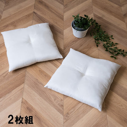 ヌードクッション 国産 日本製 洗える シート 椅子用 約45×45cm 2枚組 送料無料