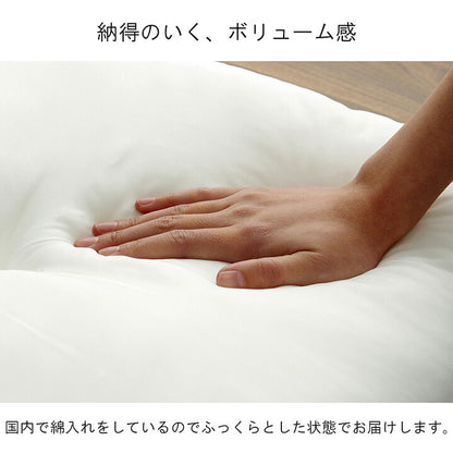 ヌードクッション 国産 日本製 洗える シート 椅子用 約45×45cm 2枚組 送料無料