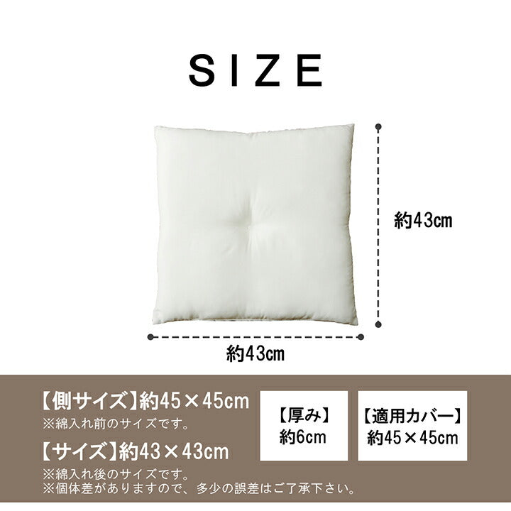 ヌードクッション 国産 日本製 洗える シート 椅子用 約45×45cm 2枚組 送料無料