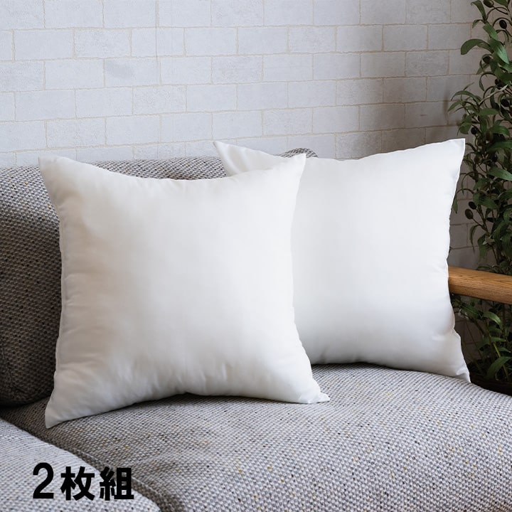 ヌードクッション 洗える 日本製 中身 セアテ 約45×45cm 2枚組 送料無料