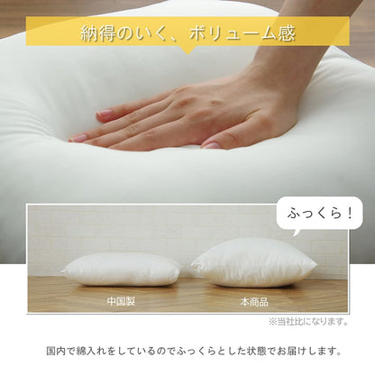 ヌードクッション 洗える 日本製 中身 セアテ 約45×45cm 2枚組 送料無料