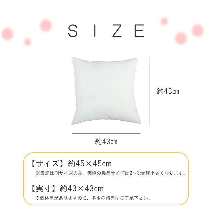 ヌードクッション 洗える 日本製 中身 セアテ 約45×45cm 2枚組 送料無料