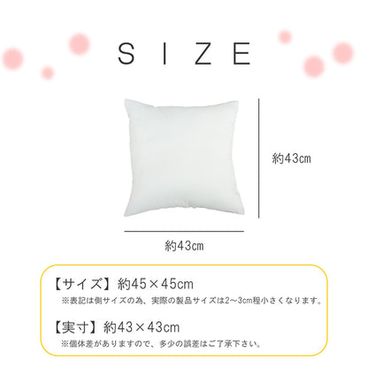 ヌードクッション 洗える 日本製 中身 セアテ 約45×45cm 2枚組 送料無料