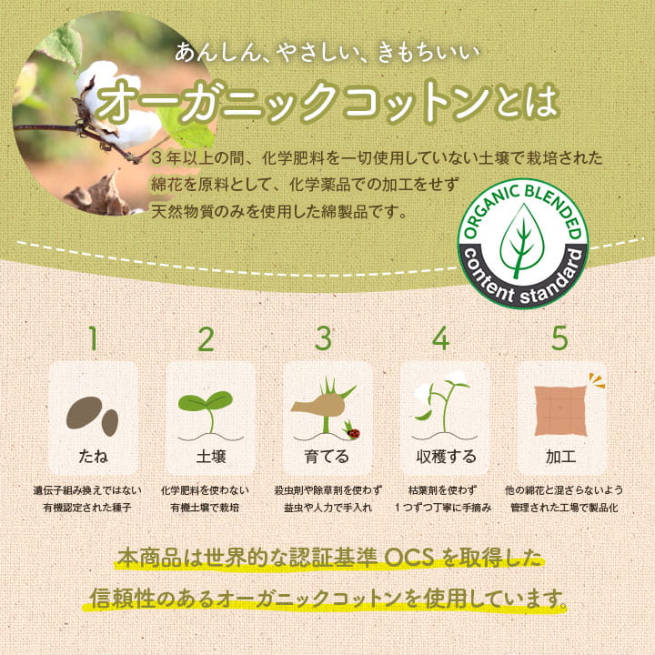 クッション シート 椅子 日本製 オーガニックコットン 綿100% ボーダー 洗える 約43×43cm 送料無料 - 【公式】allecore(アレコレ) 家具インテリア・生活雑貨のオンライン通販
