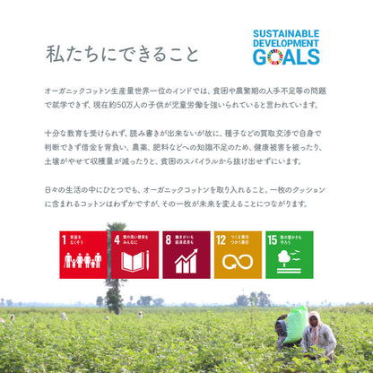 【新商品】クッション フリーシート ソファ 車 日本製 オーガニックコットン 綿100% ボーダー 洗える 約43×130cm 送料無料