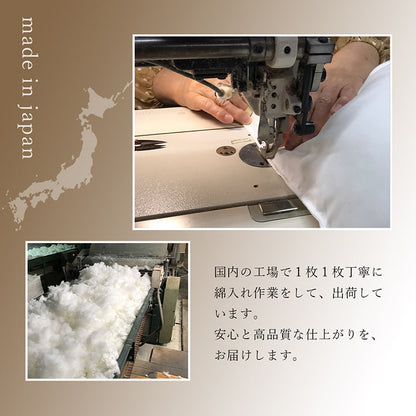 座布団 銘仙判 しじら 日本製 綿100% 和柄 約55×59cm 2枚組 送料無料