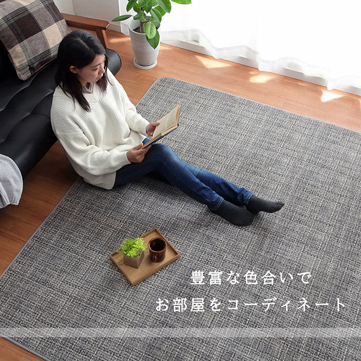 ラグ カーペット マット 珊瑚マイヤ 洗える 滑りにくい 約200×300cm 送料無料