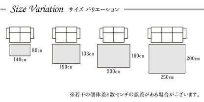 カーペット ラグ トルコ ウィルトン 織り カービング  約160×230cm 抗菌防臭 消臭 へたりにくい エレガント 送料無料