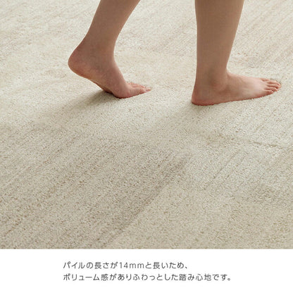 カーペット ウィルトンカーペット ホワイトインテリア ブロック柄 約200×250cm 送料無料