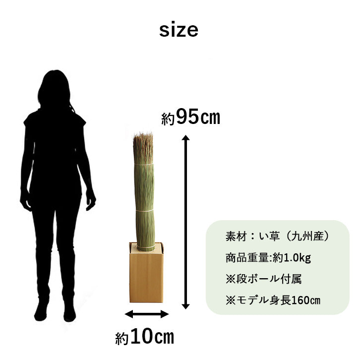 国産 日本製 い草 インテリア オブジェ 消臭 空気清浄 ナチュラル 植物 置物 95×10cm 送料無料