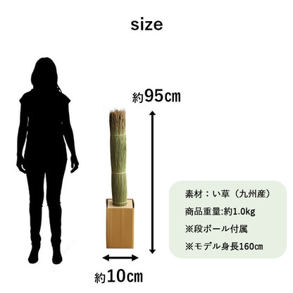 国産 日本製 い草 インテリア オブジェ 消臭 空気清浄 ナチュラル 植物 置物 95×10cm 送料無料