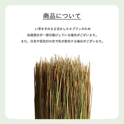 国産 日本製 い草 インテリア オブジェ 消臭 空気清浄 ナチュラル 植物 置物 95×10cm 送料無料