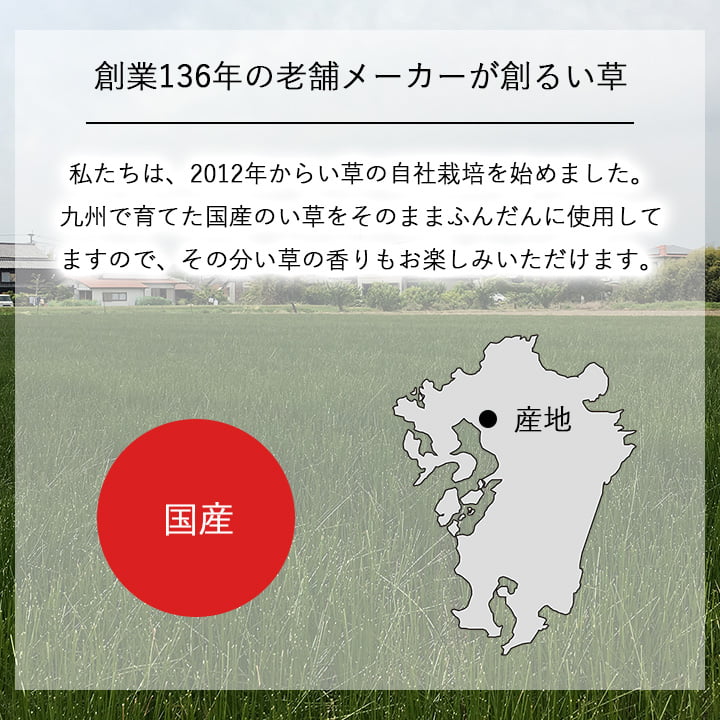 国産 日本製 い草 インテリア オブジェ 消臭 空気清浄 ナチュラル 植物 置物 95×10cm 送料無料