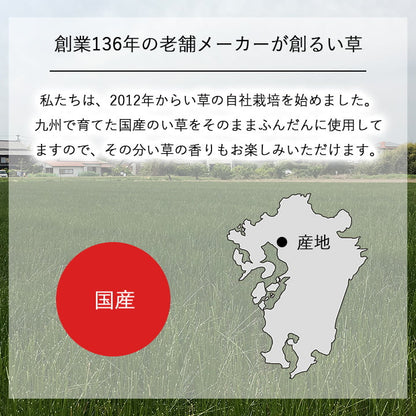 国産 日本製 い草 インテリア オブジェ 消臭 空気清浄 ナチュラル 植物 置物 95×10cm 送料無料