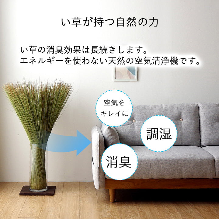 国産 日本製 い草 インテリア オブジェ 消臭 空気清浄 ナチュラル 植物 置物 95×10cm 送料無料