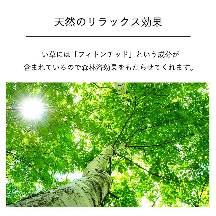 国産 日本製 い草 インテリア オブジェ 消臭 空気清浄 ナチュラル 植物 置物 95×10cm 送料無料