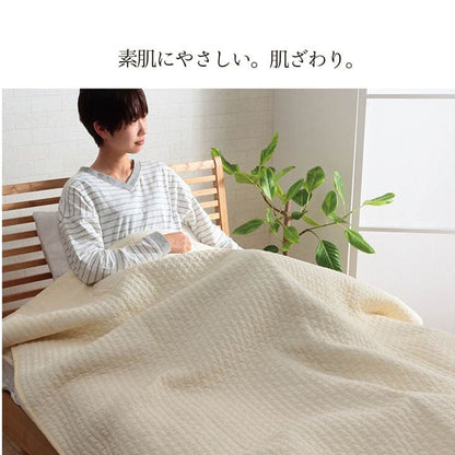 寝具 肌掛け布団 掛布団 綿 100％ イブル 洗える ギフト シングル 約140×190cm 送料無料