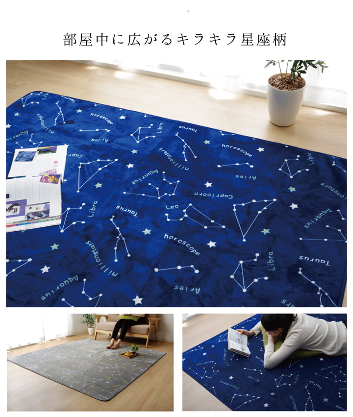 抗菌・防臭 ウォッシャブル フランネル ホットカーペットカバー 『WSミリオン RUG」約185×185cm 送料無料