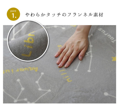 抗菌・防臭 ウォッシャブル フランネル ホットカーペットカバー 『WSミリオン RUG」約200×300cm 送料無料