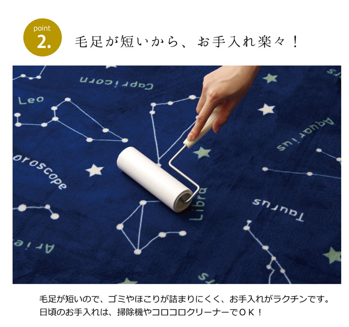 抗菌・防臭 ウォッシャブル フランネル ホットカーペットカバー 『WSミリオン RUG」約200×300cm 送料無料