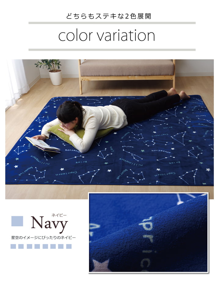 抗菌・防臭 ウォッシャブル フランネル ホットカーペットカバー 『WSミリオン RUG」約185×185cm 送料無料