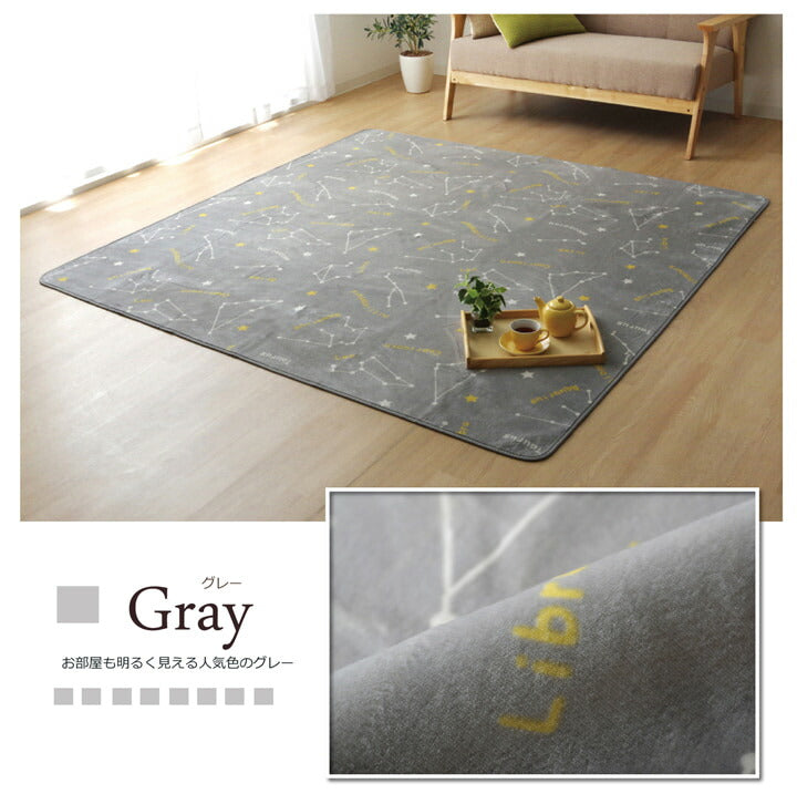 抗菌・防臭 ウォッシャブル フランネル ホットカーペットカバー 『WSミリオン RUG」約200×250cm 送料無料