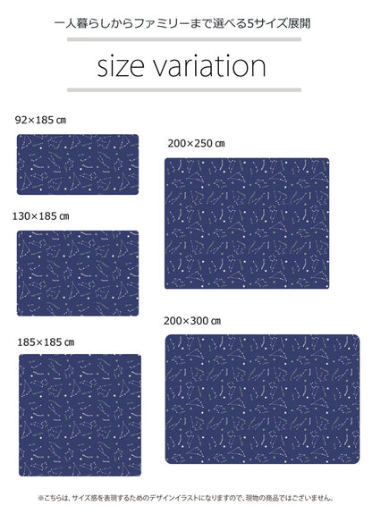 抗菌・防臭 ウォッシャブル フランネル ホットカーペットカバー 『WSミリオン RUG」約200×250cm 送料無料