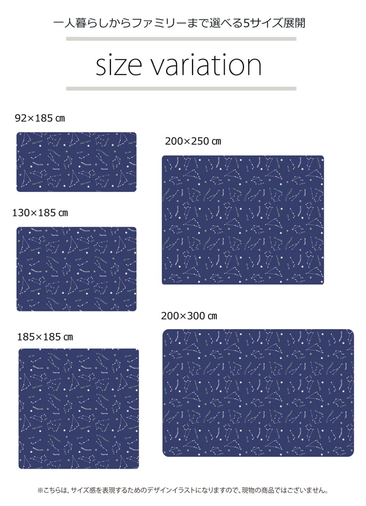 抗菌・防臭 ウォッシャブル フランネル ホットカーペットカバー 『WSミリオン RUG」約200×300cm 送料無料