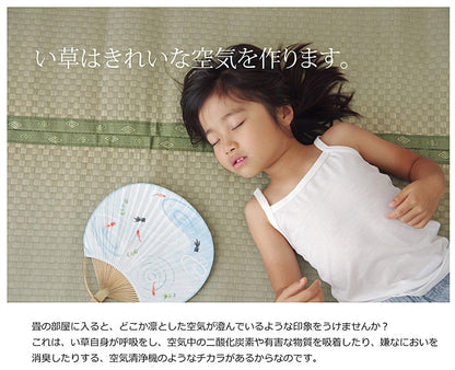 純国産 い草 上敷き カーペット 市松織 『不知火』 三六間3畳(約182×273cm） 熊本県八代産イ草使用 送料無料
