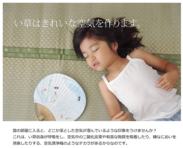 純国産 い草 上敷き カーペット 市松織 『不知火』 団地間6畳(約255×340cm） 熊本県八代産イ草使用 送料無料