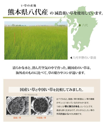 純国産 減農薬栽培 い草 上敷き カーペット 糸引織 『西陣』 江戸間8畳(約352×352cm） 熊本県八代産イ草使用 送料無料