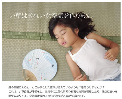 フリーカット い草 上敷き カーペット 『F不知火』 江戸間1畳(約88×176cm）(裏:ウレタン張り） 送料無料
