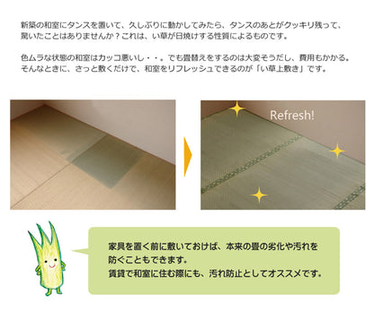 フリーカット い草 上敷き カーペット 『F不知火』 三六間3畳(約182×273cm）(裏:ウレタン張り） 送料無料