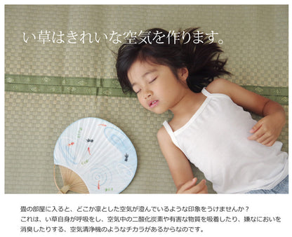 フリーカット い草 上敷き カーペット 『F不知火』 三六間4.5畳(約273×273cm）(裏:ウレタン張り） 送料無料 - 【公式】allecore(アレコレ) 家具インテリア・生活雑貨のオンライン通販