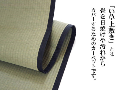純国産 い草 上敷き カーペット 麻綿織 『清正』 江戸間4.5畳(約261×261cm） 熊本県八代産イ草使用 送料無料