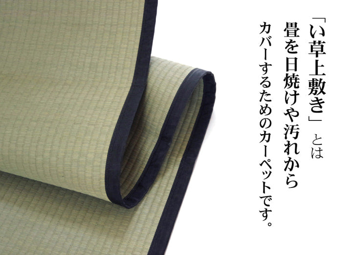 純国産 い草 上敷き カーペット 麻綿織 『清正』 本間6畳(約286×382cm） 熊本県八代産イ草使用 送料無料