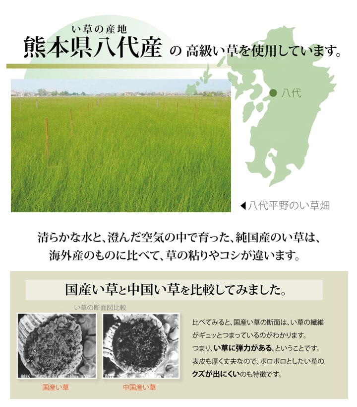純国産 い草 上敷き カーペット 麻綿織 『清正』 本間3畳(約191×286cm） 熊本県八代産イ草使用 送料無料
