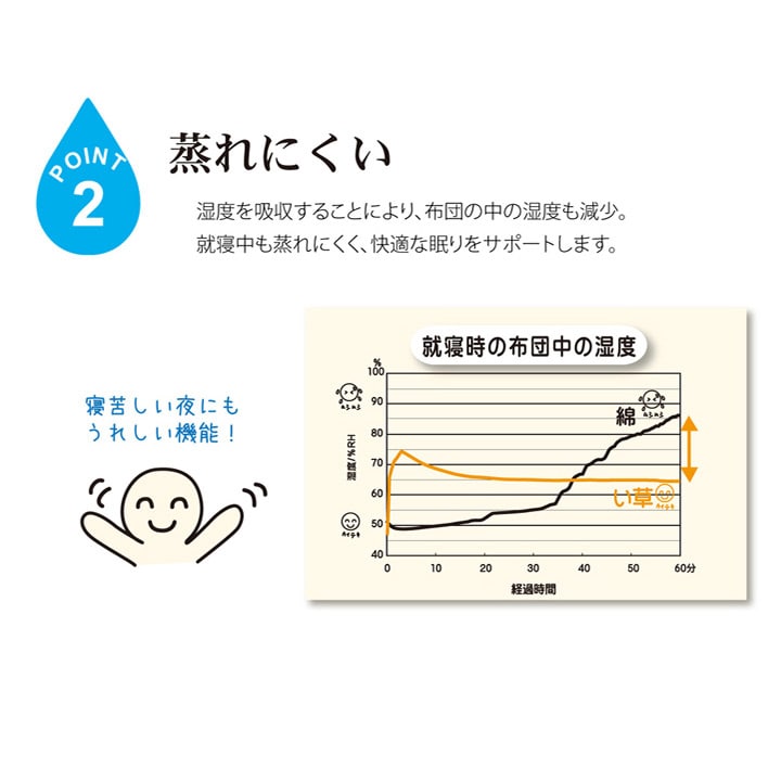 純国産 い草のシーツ（寝ござ） 『白水』 シングル約88×180cm（熊本県八代産イ草使用） 送料無料