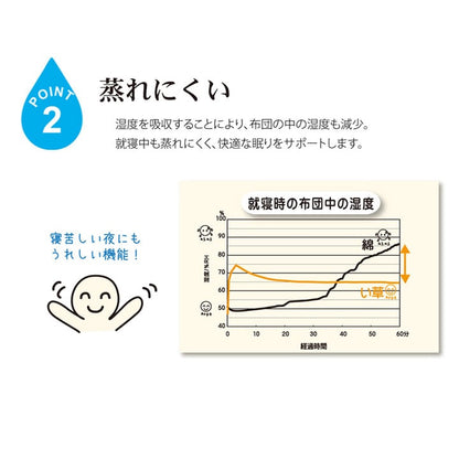 純国産 い草のシーツ（寝ござ） 『白水』 シングル約88×180cm（熊本県八代産イ草使用） 送料無料